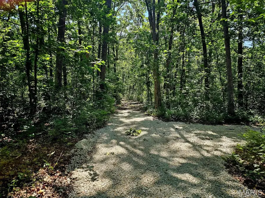 8+/- ac Walker Road, Troy, MO 63379 - #3