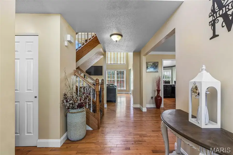 210 Buzzard Rock Road, Farmington, MO 63640 - #3
