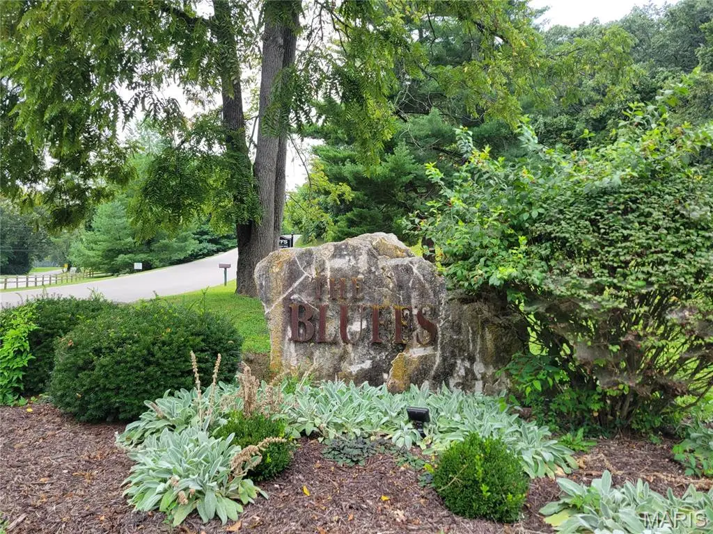 437 Big River View, Eureka, MO 63025 - #1