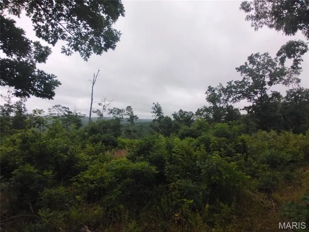 12 Tract 12, Belleview, MO 63623 - #1