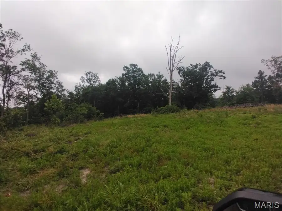 12 Tract 12, Belleview, MO 63623 - #2