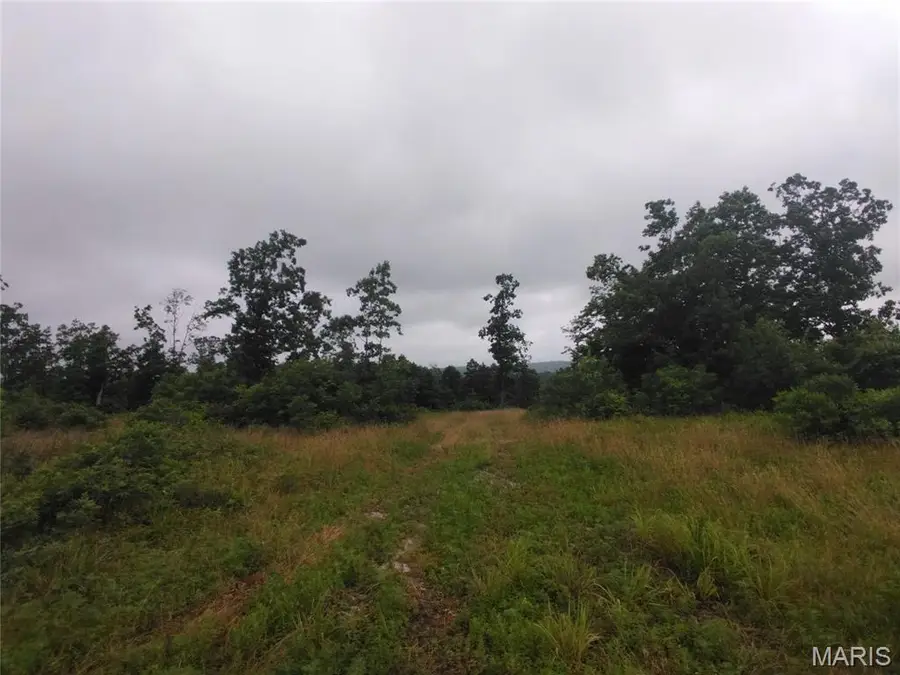 12 Tract 12, Belleview, MO 63623 - #3