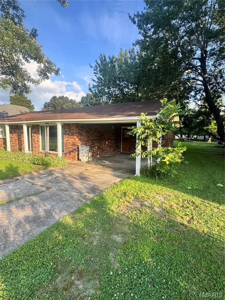 114 E Phillips Ave, Lilbourn, MO 63862 - #3