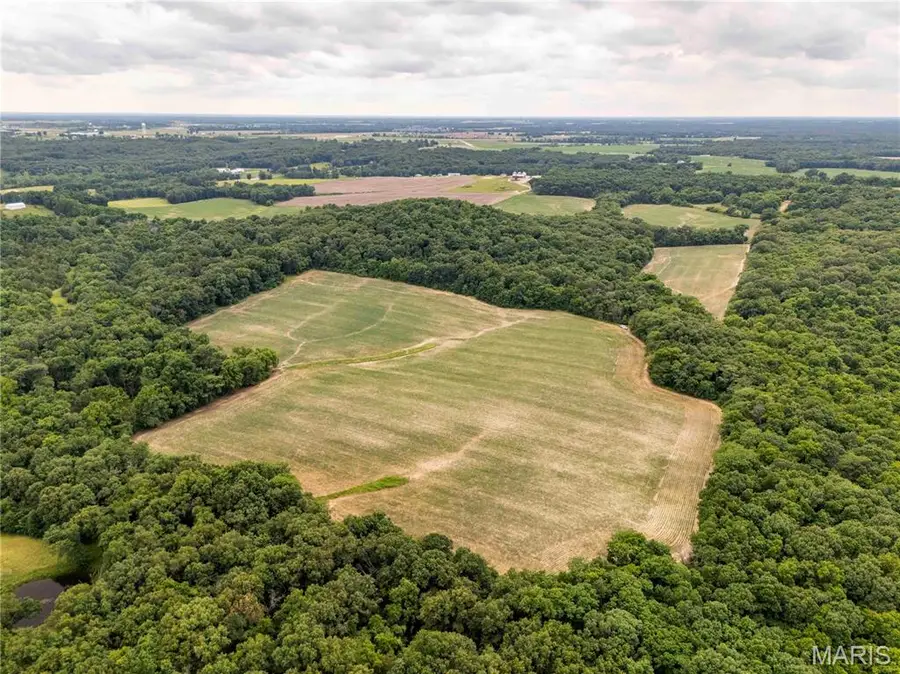 14925 Highway Uu, Bowling Green, MO 63334 - #2