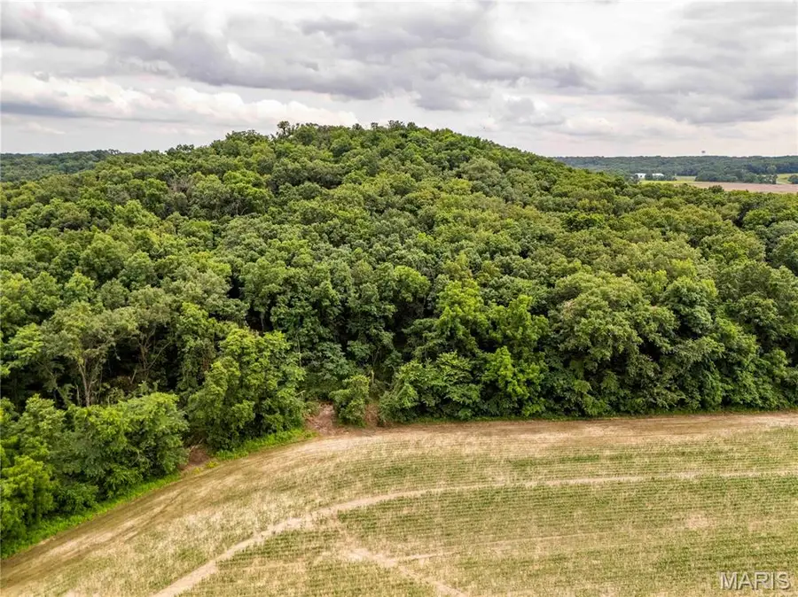 14925 Highway Uu, Bowling Green, MO 63334 - #3