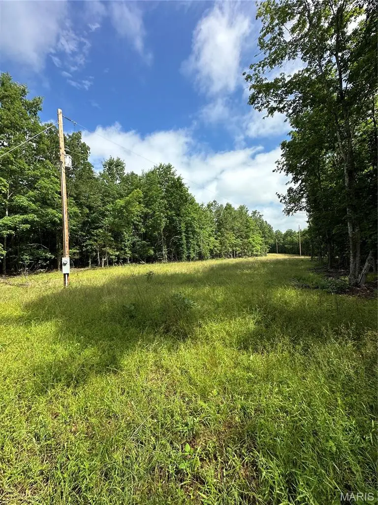1520 Madison 9346, Twelvemile, MO 63964 - #3