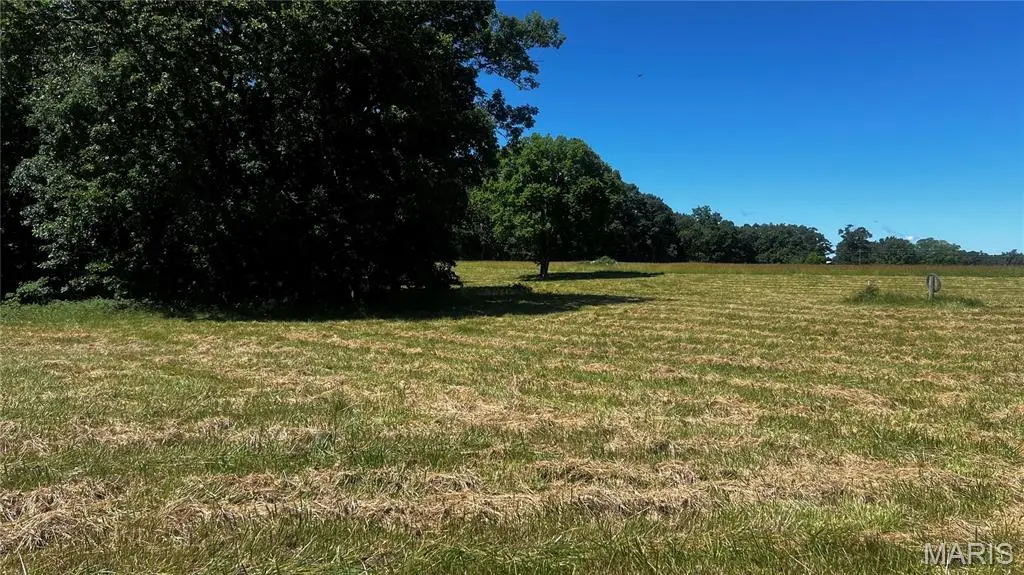 0 S. Mill Creek Rd (17 Acres *see Exhibit A*), New Florence, MO 63363 - #1