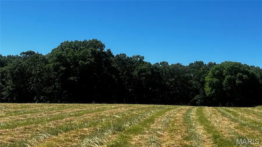 0 S. Mill Creek Rd (17 Acres *see Exhibit A*), New Florence, MO 63363 - #2