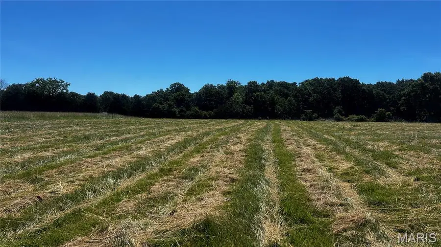 0 S. Mill Creek Rd (17 Acres *see Exhibit A*), New Florence, MO 63363 - #3