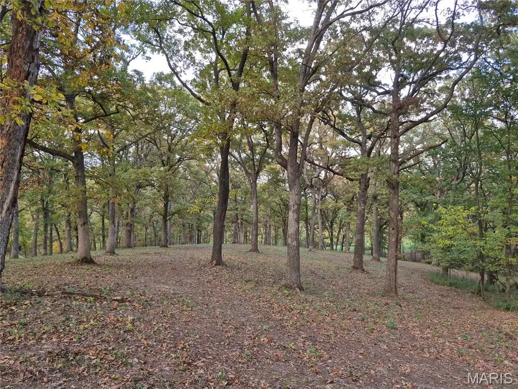 0 Highway D - Tract 5a (14+/- Acres), Eolia, MO 63344 - #1