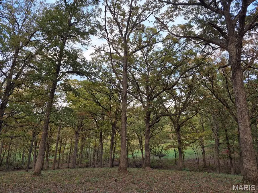 0 Highway D - Tract 5a (14+/- Acres), Eolia, MO 63344 - #2