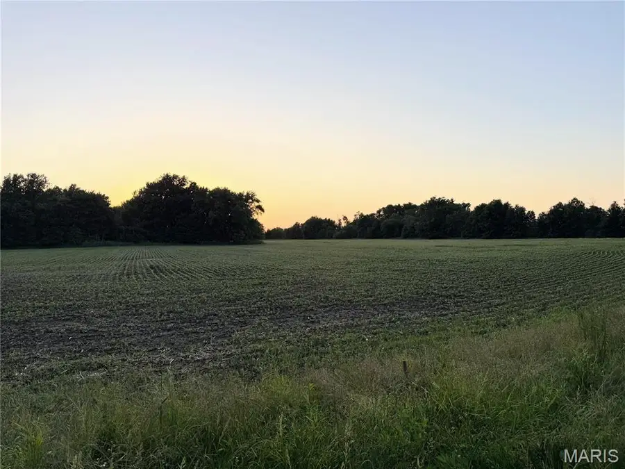 xx Mockingbird Hill Ln, Kirksville, MO 63501 - #3