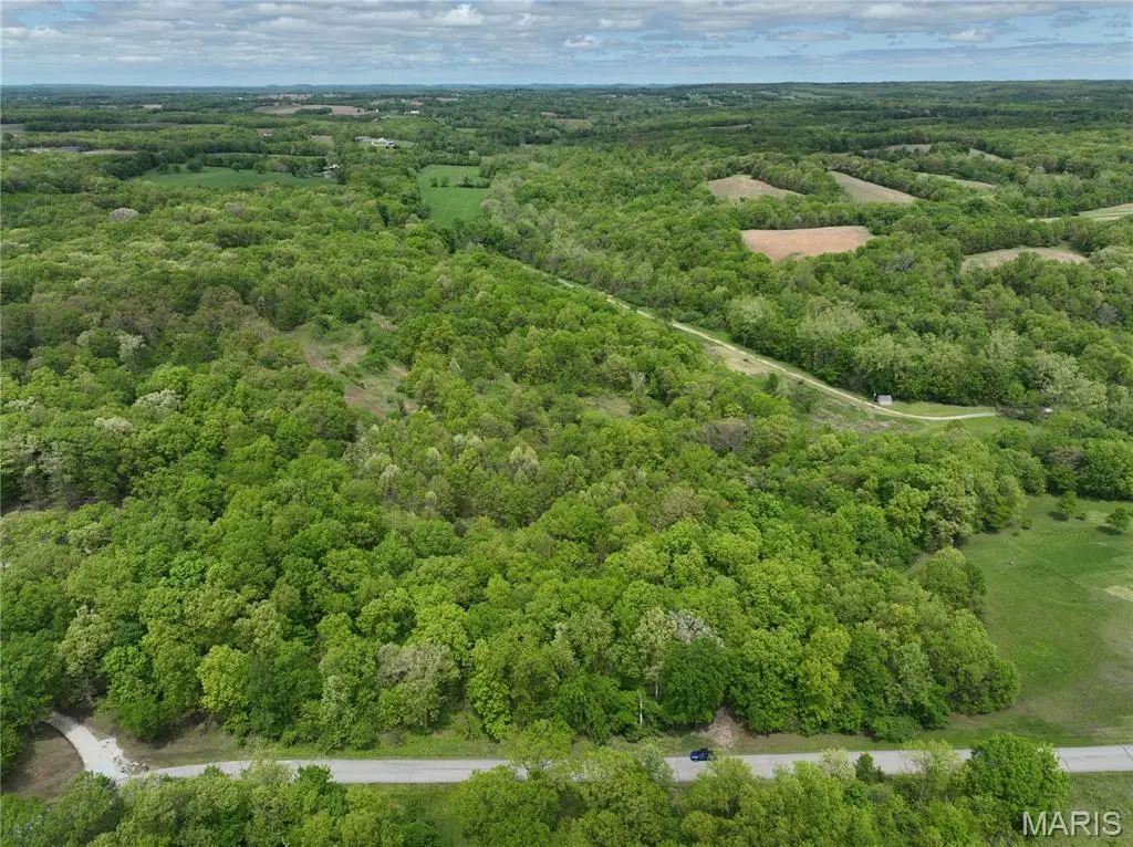110 Spring House Lane, Snow Hill, MO 63379 - #1