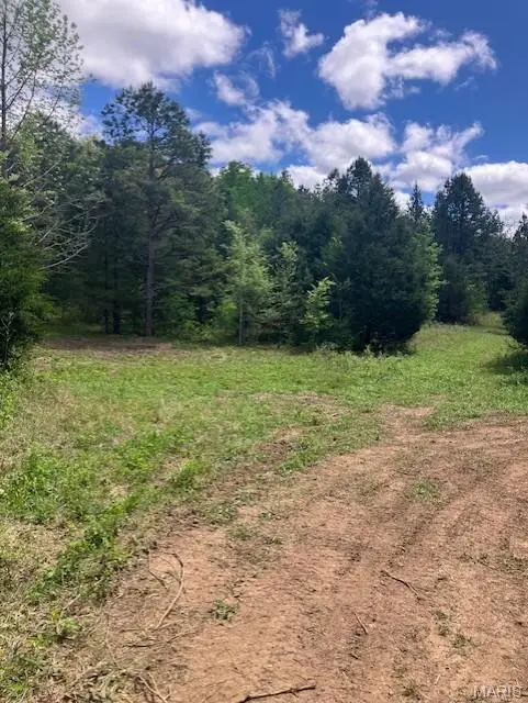245 Madison Cr 410, Fredericktown, MO 63645