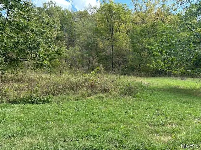 30415 Mauka Drive, Lebanon, MO 65536 - #3