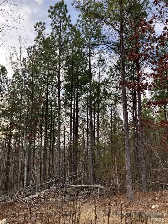 253 Madison Cr 410, Fredericktown, MO 63645 - #2