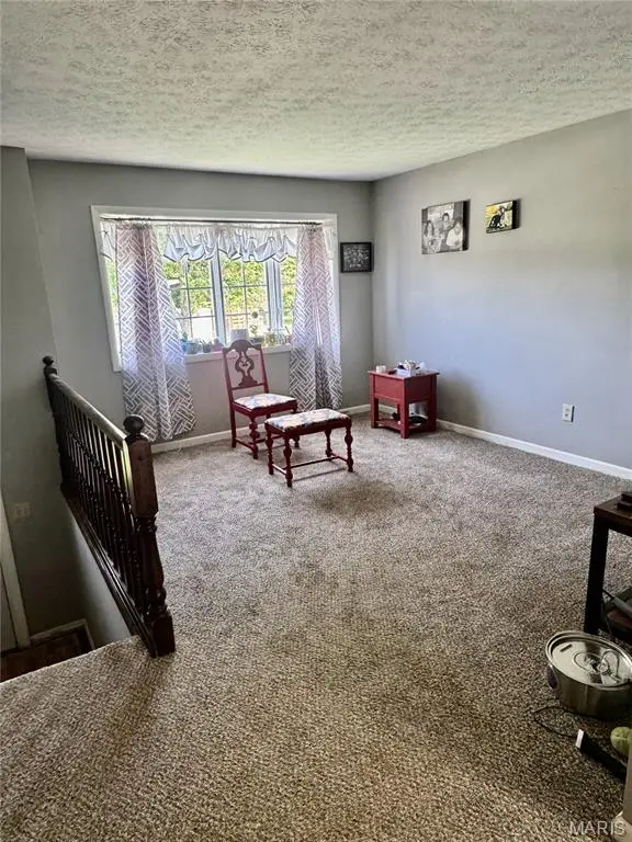308 W 7th South Street, Mount Olive, IL 62069 - #3