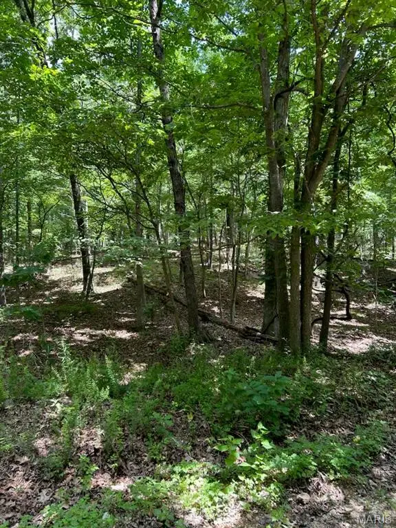 0 Hargrove Road, St Robert, MO 65584