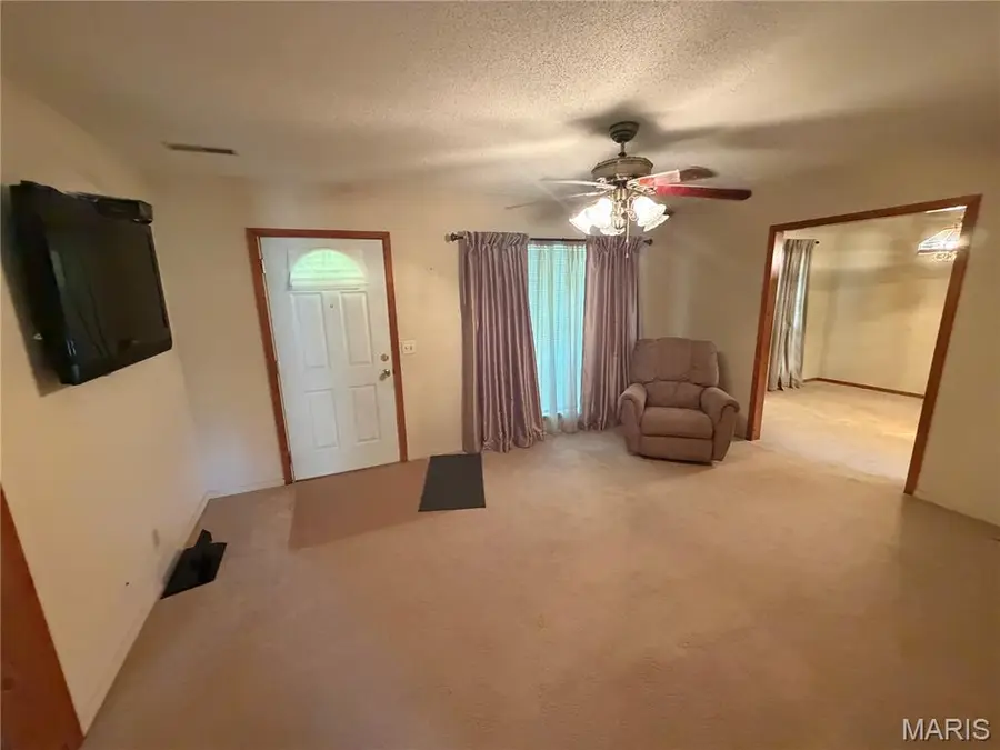 39415 W Sue Drive, Malden, MO 63863 - #3