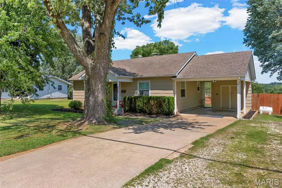 1323 S 5th Street, De Soto, MO 63020 - #2