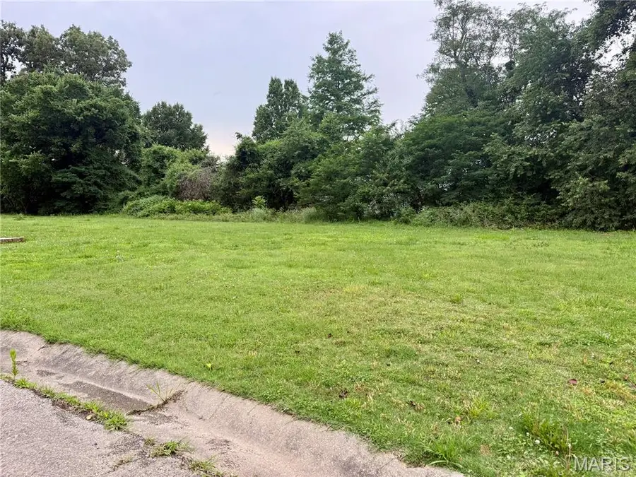 Lot 18 Bent Creek Estates, Dexter, MO 63841 - #3