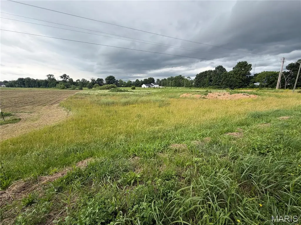 Lot 1 Westside Drive, New London, MO 63459 - #1