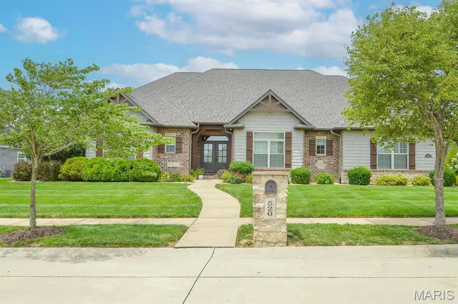 520 Shadow Rock Court, Lebanon, IL 62254 - #2