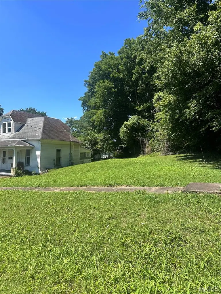311 E Davidson Avenue, Chaffee, MO 63740 - #3