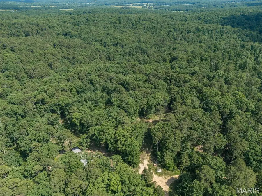 10130 Fish Hook Road, Potosi, MO 63664 - #2