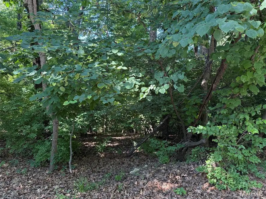 691 Castlecliff Road, Ballwin, MO 63021 - #3
