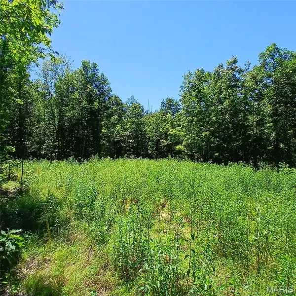 0000000 Easement, Annapolis, MO 63620