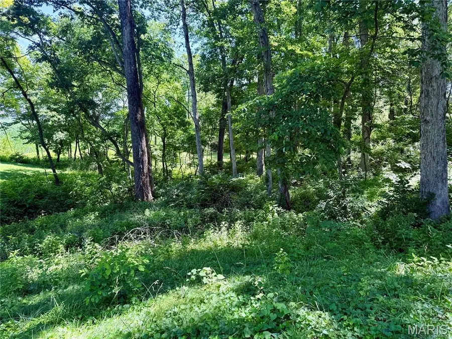 7263 Arke Drive, Belleville, IL 62223 - #3