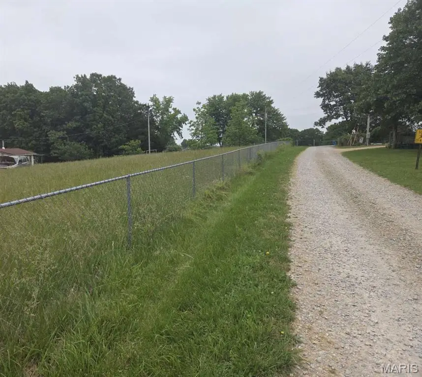 8466 South Drive, Festus, MO 63028 - #2