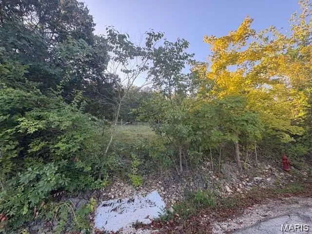 10068 Waterford Drive, Raintree Plantation, MO 63050 - #3