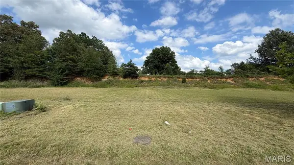 00 Palm Tree Drive, Poplar Bluff, MO 63901