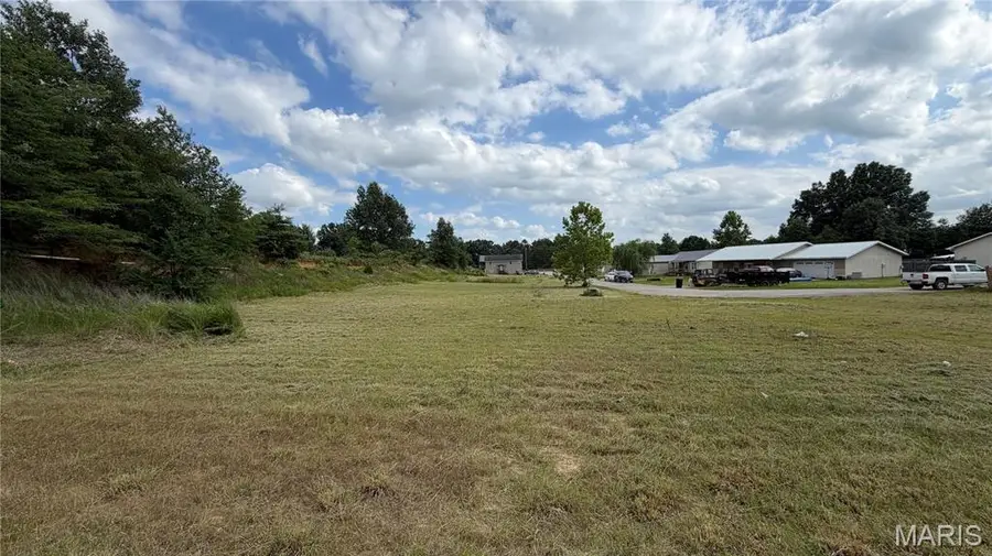 00 Palm Tree Drive, Poplar Bluff, MO 63901 - #2