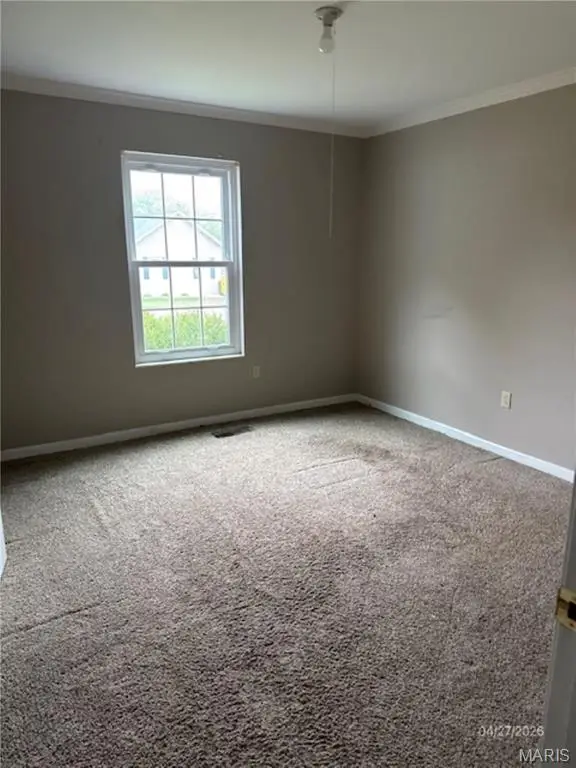 318 Cortner Drive, Smithton, IL 62285 - #3