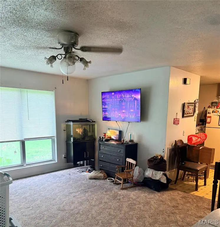 1176 County Road 523, Poplar Bluff, MO 63901 - #1