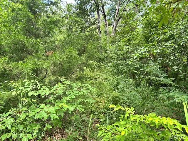 3527 Vandalia Dr, Iron Mountain Lake, MO 63624 - #2