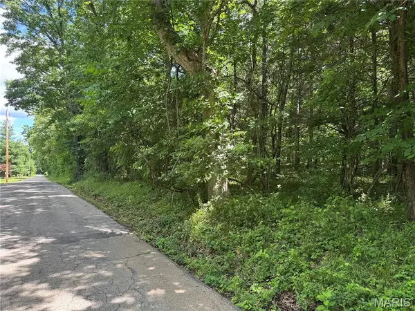 0 Old St Louis Road, Valles Mines, MO 63087