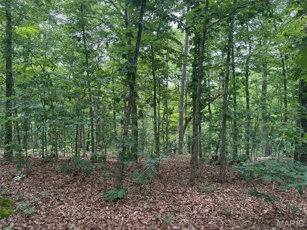 0 Highway 21, Ellington, MO 63638 - #1