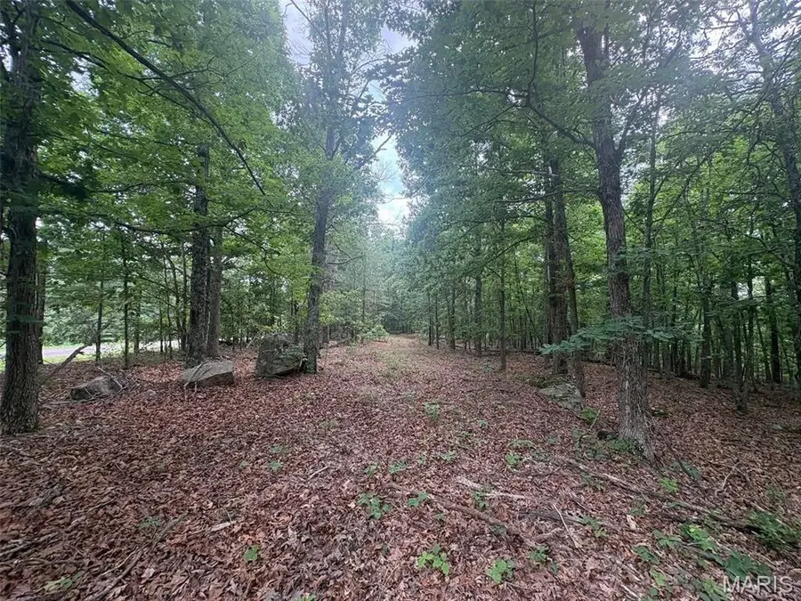 0 Highway 21, Ellington, MO 63638 - #3