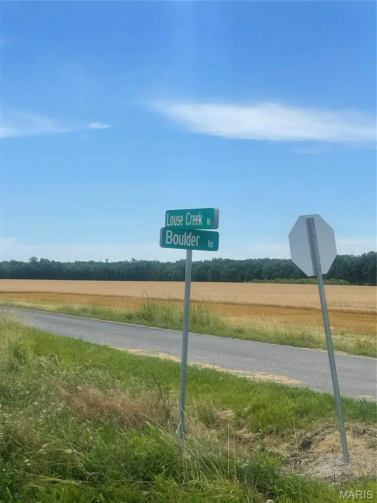XXX Louse Creek Road, Carlyle, IL 62231 - #3