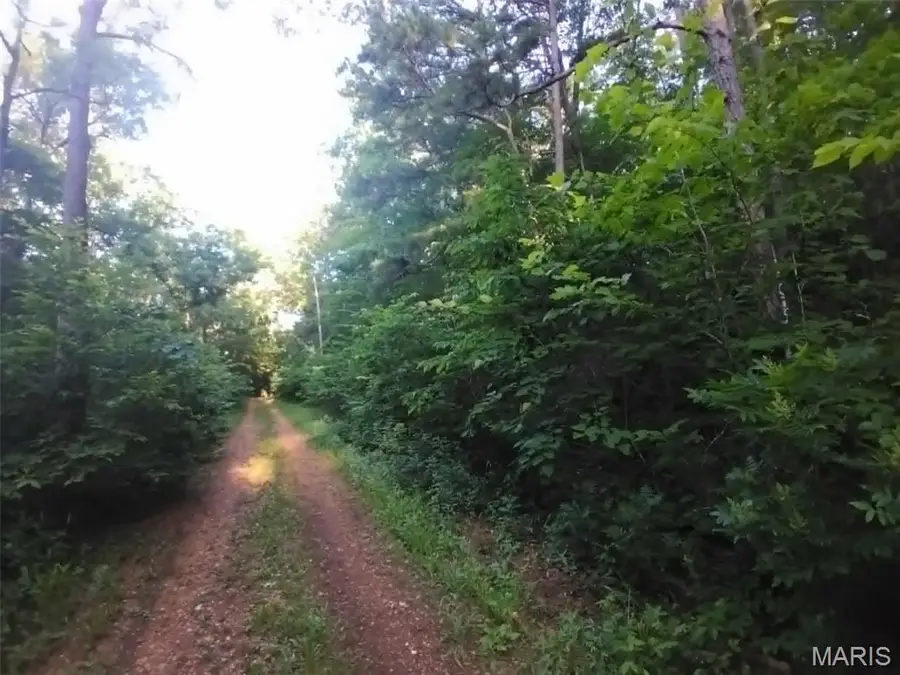 00 County Road 5, Viburnum, MO 65566 - #3