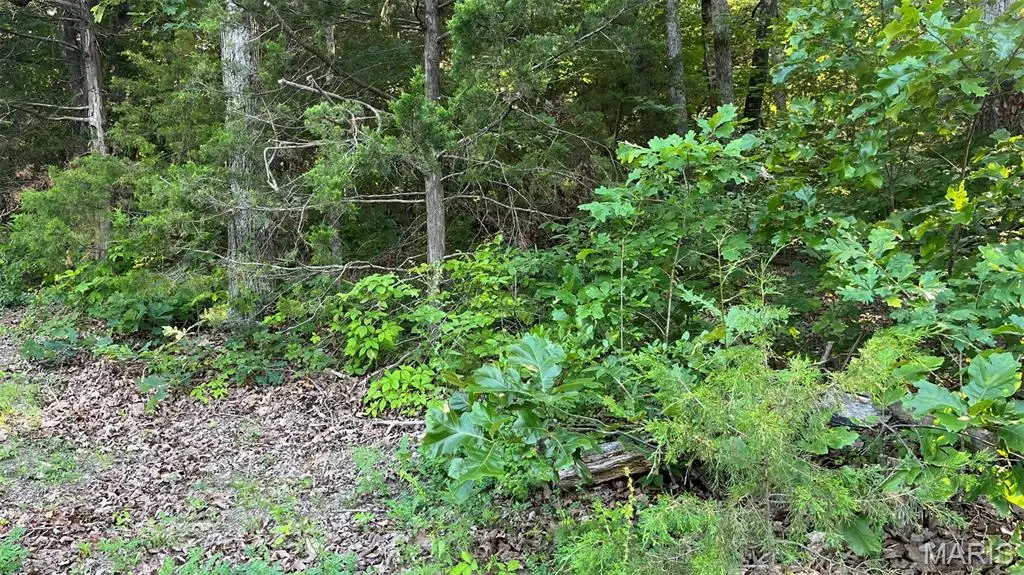 Lot 824 Woodson Road, Owensville, MO 65066 - #1