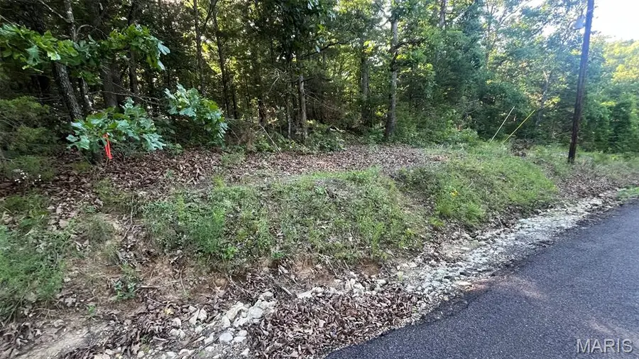 Lot 824 Woodson Road, Owensville, MO 65066 - #2