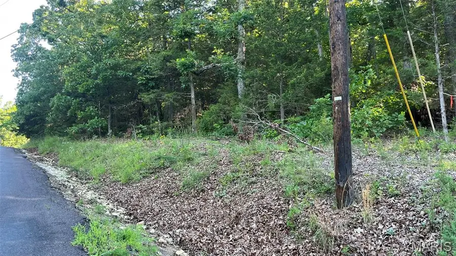 Lot 824 Woodson Road, Owensville, MO 65066 - #3