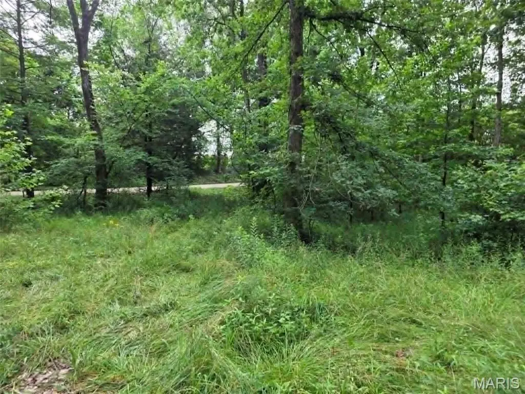 951 County Road 514, Wappapello, MO 63966 - #1