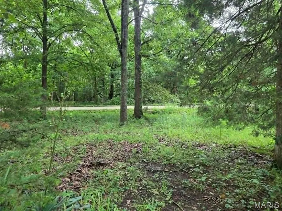 951 County Road 514, Wappapello, MO 63966 - #2