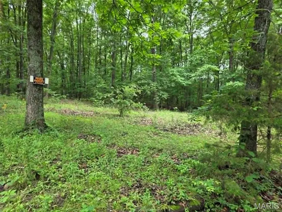 951 County Road 514, Wappapello, MO 63966 - #3